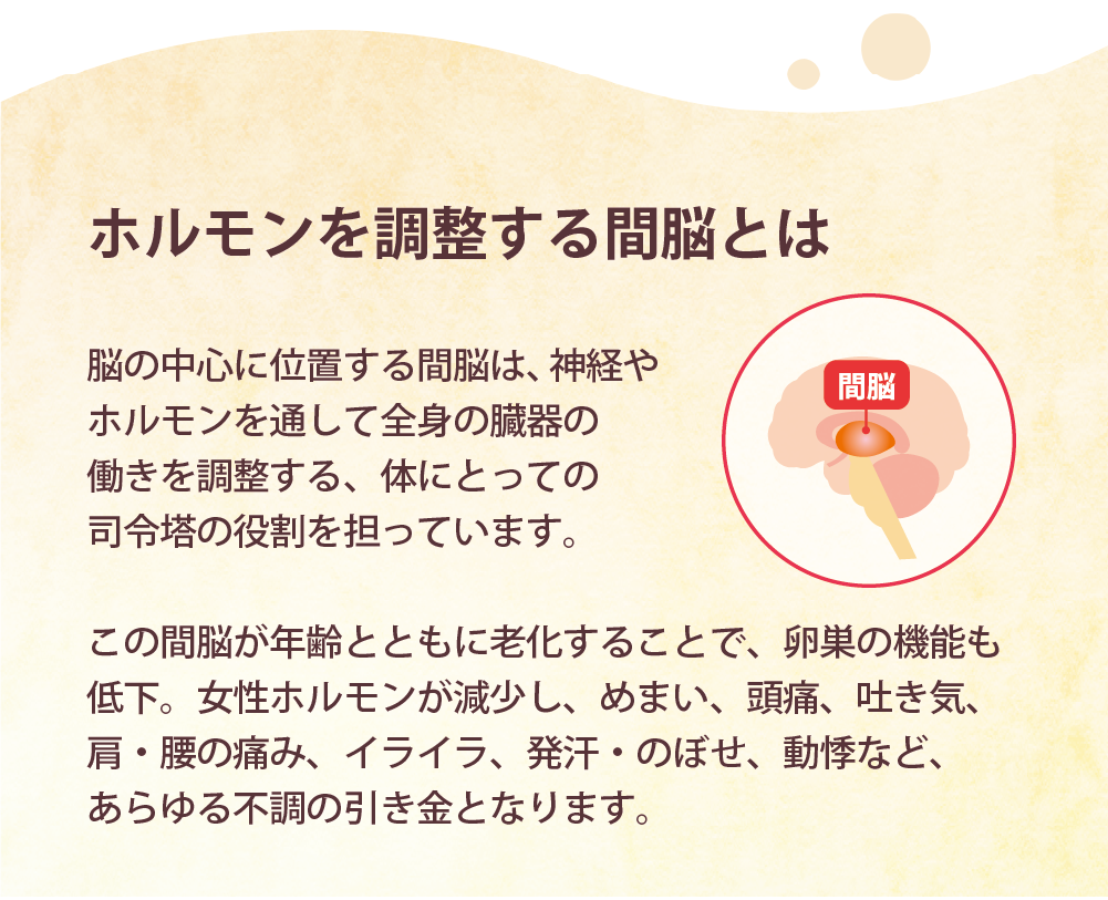 ホルモンを調整する間脳とは 脳の中心に位置する間脳は、神経やホルモンを通して全身の臓器の働きを調整する、体にとっての司令塔の役割を担っています。この間脳が年齢とともに老化することで、卵巣の機能も低下。女性ホルモンが減少し、めまい、頭痛、吐き気、肩・腰の痛み、イライラ、発汗・のぼせ、動悸など、あらゆる不調の引き金となります