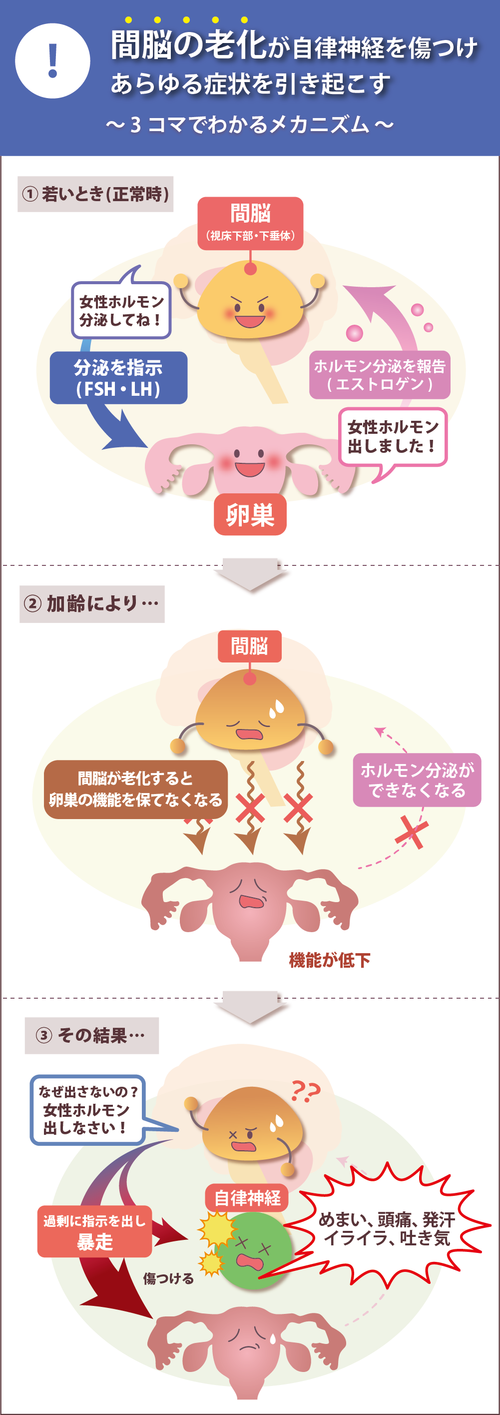 間脳の老化は自律神経を傷つけあらゆる症状を引き起こす