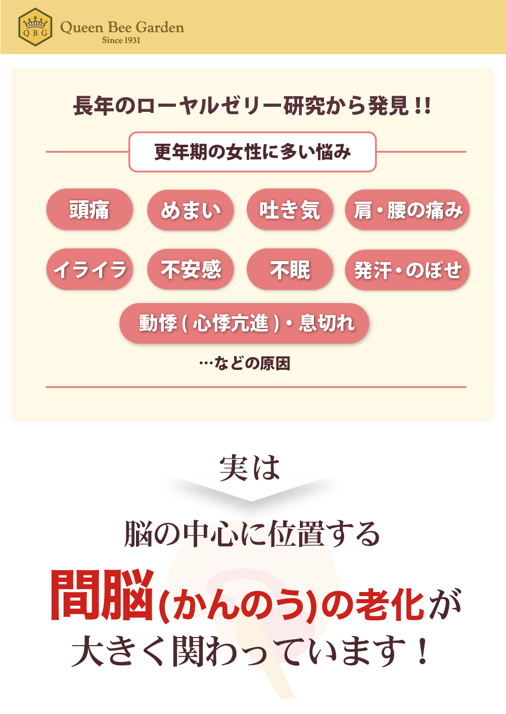 更年期の女性に多い悩み、めまい、頭痛、イライラ、動悸、倦怠感、発汗などの原因。実は間脳（かんのう）の老化が大きく関わっています！