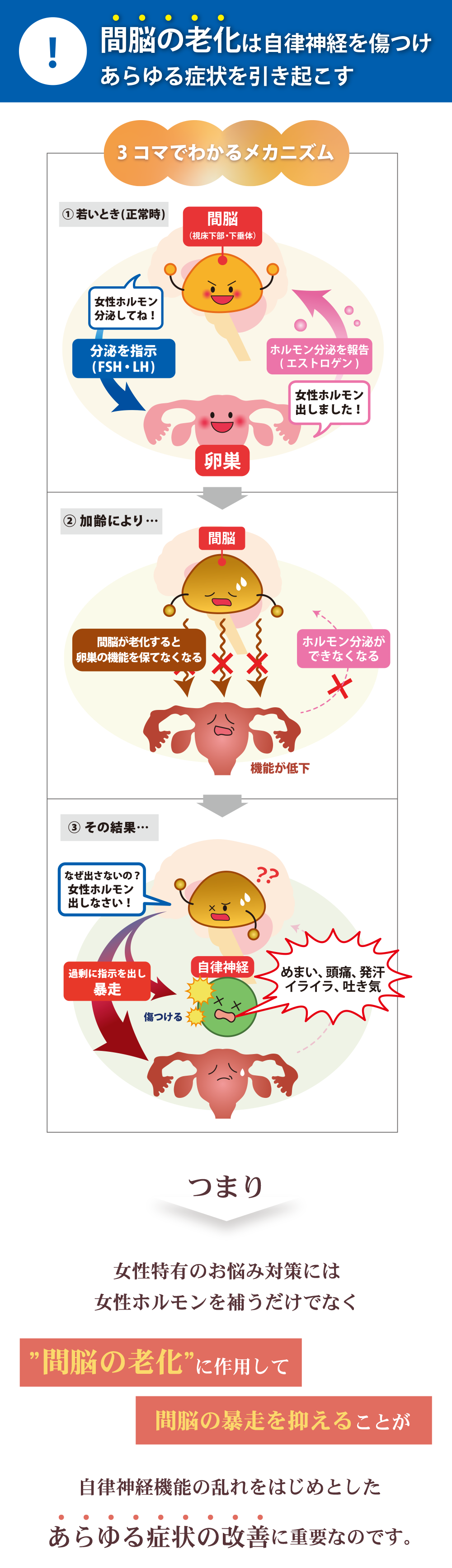 間脳の老化は自律神経を傷つけあらゆる症状を引き起こす